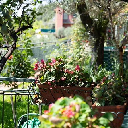 Dimora Delle Rose - Ligurian Sea View Estate شقة