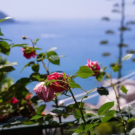 شقة Dimora Delle Rose - Ligurian Sea View Estate *