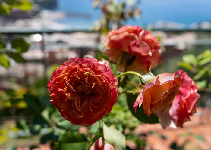Апартаменты Dimora Delle Rose - Ligurian Sea View Estate *