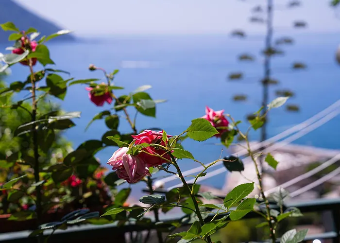 Апартаменты Dimora Delle Rose - Ligurian Sea View Estate *